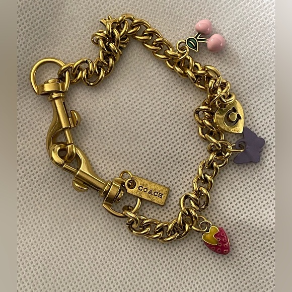 Lux Bag Charm/chain - Picture 1 of 10